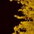 Triggered Star Formation Triggered Star Formation