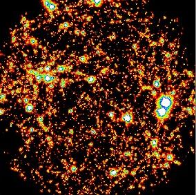 Nonthermal Emission in Galaxy Clusters