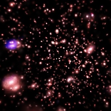 Survival of Galaxies in Cluster Simulations