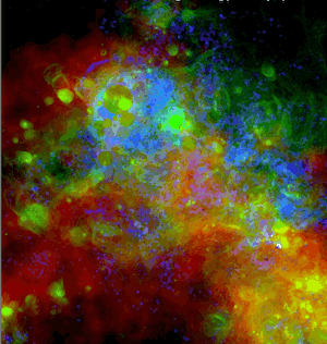 Superbubbles 2014 Superbubbles 2014