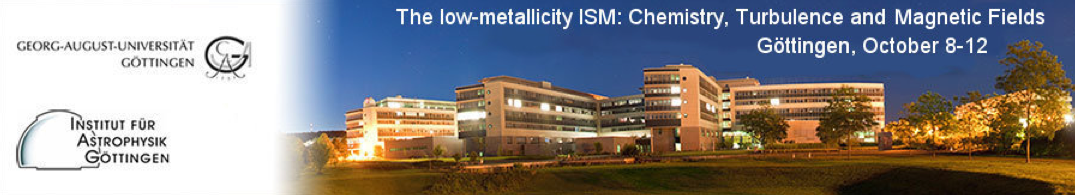 The low-metallicity ISM The low-metallicity ISM