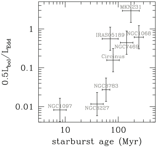 Towards a comprehensive
  understanding of the interstellar medium in the extreme environment of
  Active Galactic Nuclei