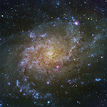 M33