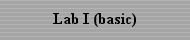 Lab I (P2.1)