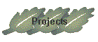 Projects