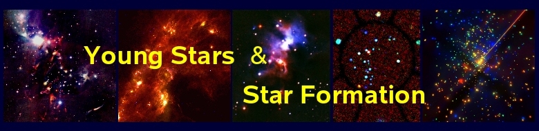 Young Stars and Star Formation Group